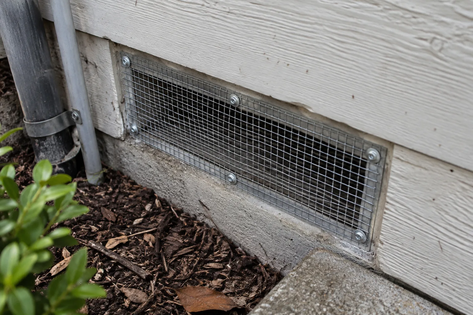 A completed wire mesh vent cover sealed at a foundation opening to block rodent re-entry after removal service.